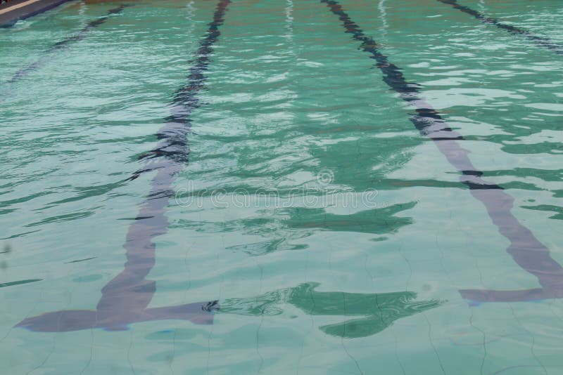 Swimming Pool Surface with Blue Lines, Water Background in Swimming