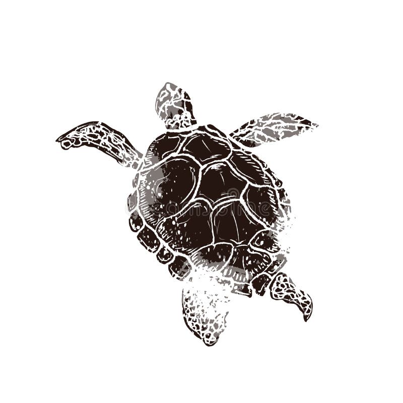Swimming turtle in linocut retro style isolated on white stock illustration