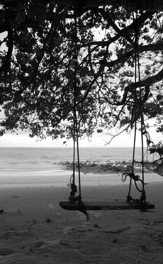 Swing On The Beach stock images