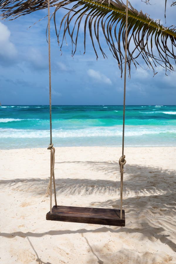 A Swing Under a Palm Tree in Mexico Stock Photo Image of tree, beach