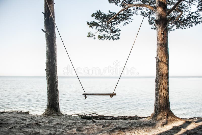 Swings on sea coast stock image. Image of beak, seabird 45378453