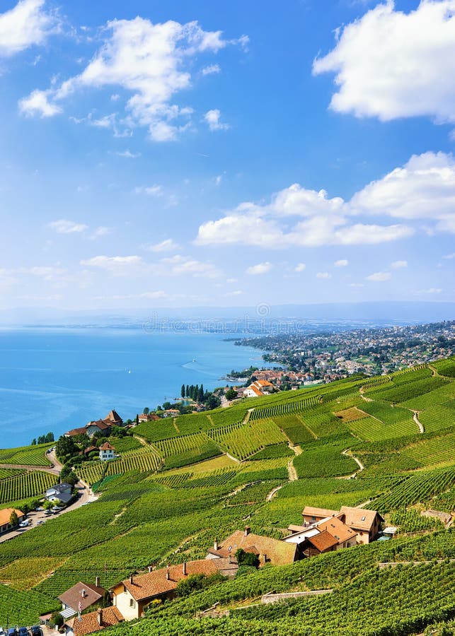 Swiss chalets near Lavaux Vineyard Terraces hiking trail in Switzerland