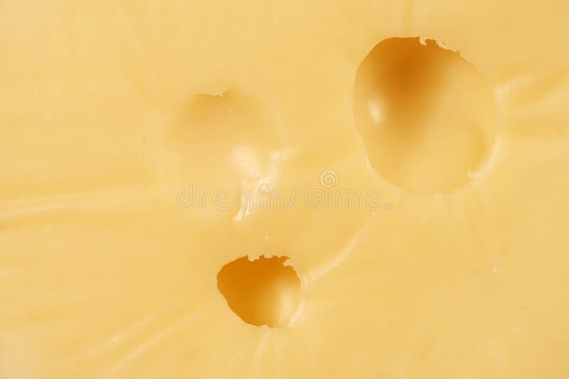 Swiss Cheese Background Free Stock Photos & Pictures, Swiss Cheese