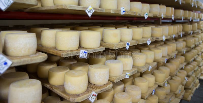 Swiss cheese cellar