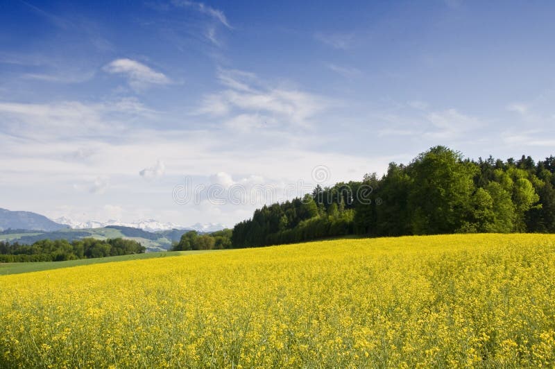 Swiss countryside