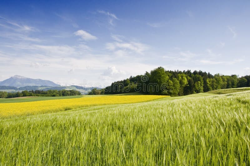 Swiss countryside