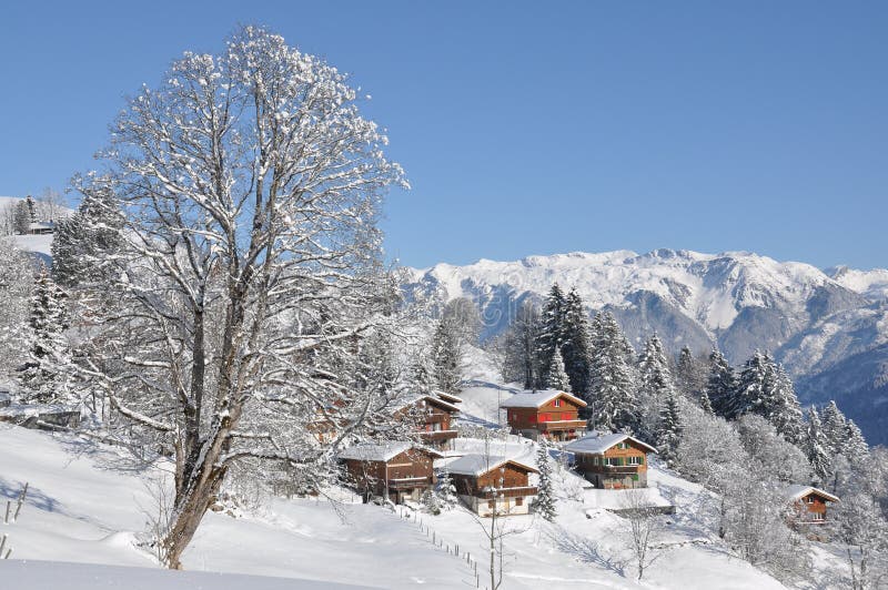 Swiss holiday cottages