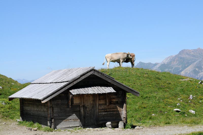 Swiss landscape