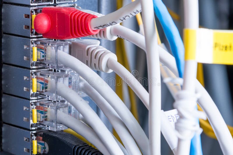 Switch board with connected network cables inside ethernet ports royalty free stock photo