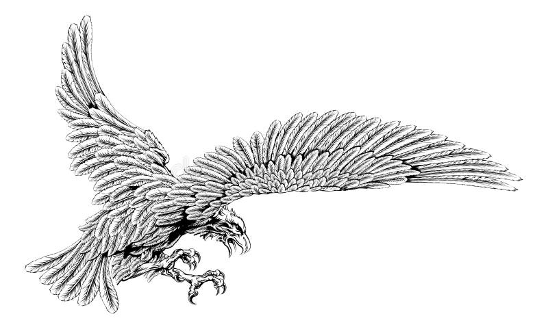 Swooping eagle