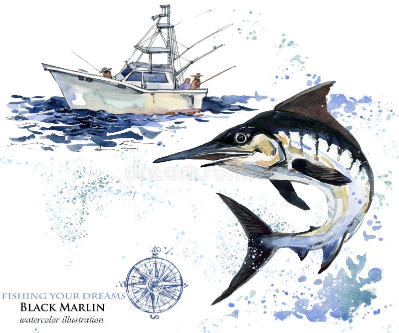 swordfish akwareli Marlin ilustracja ilustracji swordfish akwareli Marlin ilustracja ilustracji