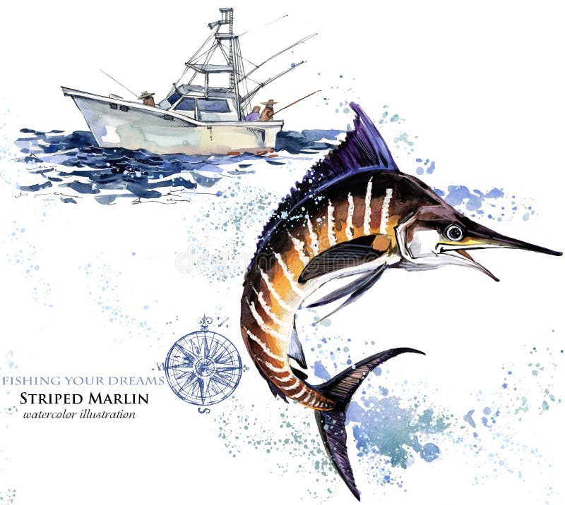 swordfish ejemplo de la aguja de la acuarela ilustración del vector swordfish ejemplo de la aguja de la acuarela ilustración del vector