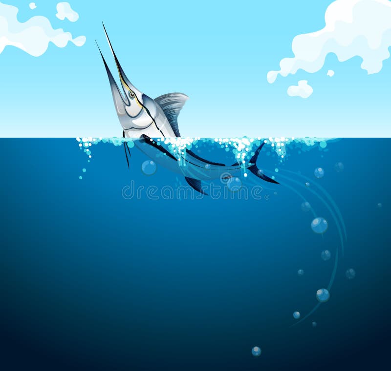 Swordfish Stock Illustrations – 1,832 Swordfish Stock Illustrations
