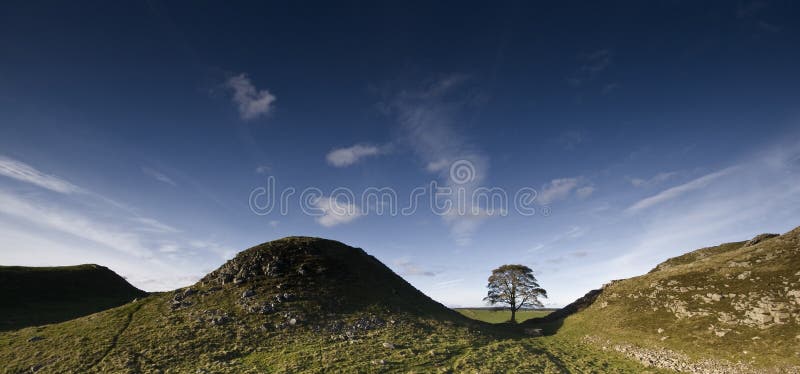 Sycamore Gap