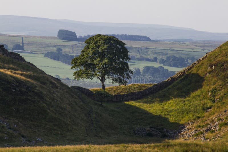 Sycomore Gap sur Roman Wall Le Northumberland, Angleterre photo libre de droits Sycomore Gap sur Roman Wall Le Northumberland, Angleterre photo libre de droits