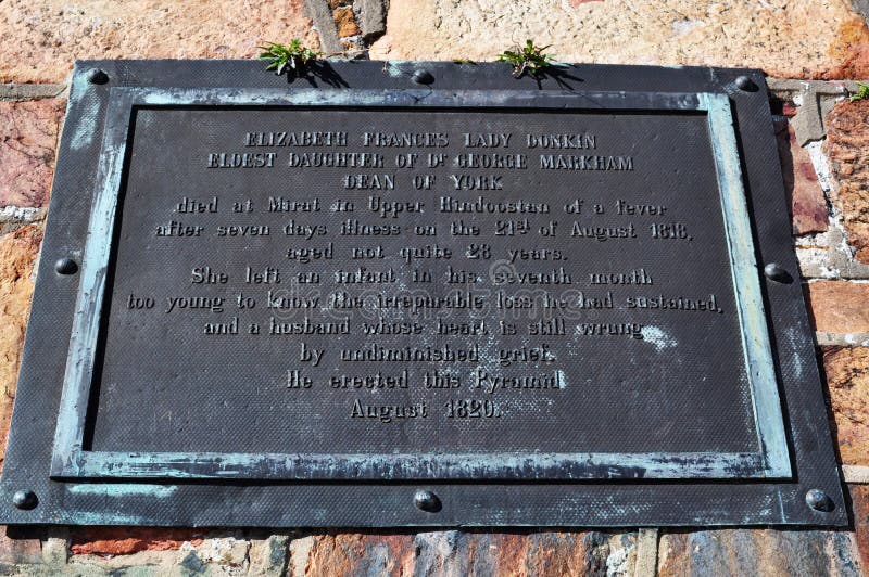 Sydafrika trädgårdrutt, Port Elizabeth royaltyfria foton