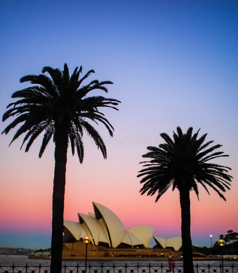 Sydney opera z drzewkiem palmowym zdjęcie stock Sydney opera z drzewkiem palmowym zdjęcie stock