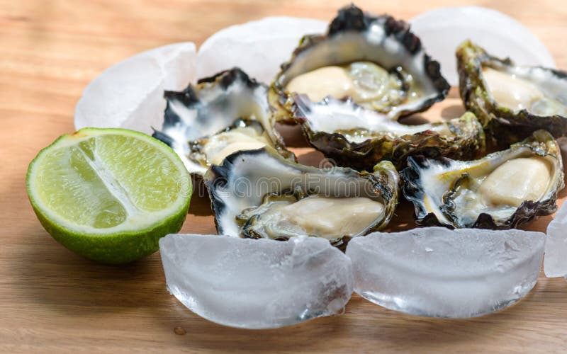 Sydney Rock Oyster stock photo. Image of mussel, healthy 85386624