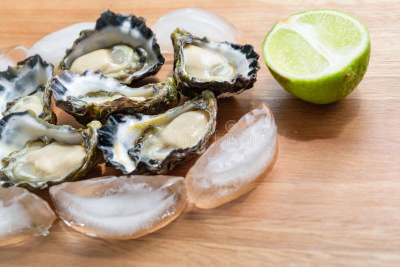 Sydney Rock Oyster stock image. Image of white, healthy 85386751