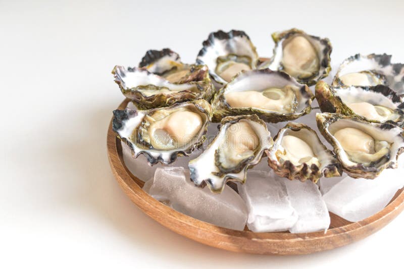 Sydney Rock Oyster stock photo. Image of pacific, nutrition 85386738