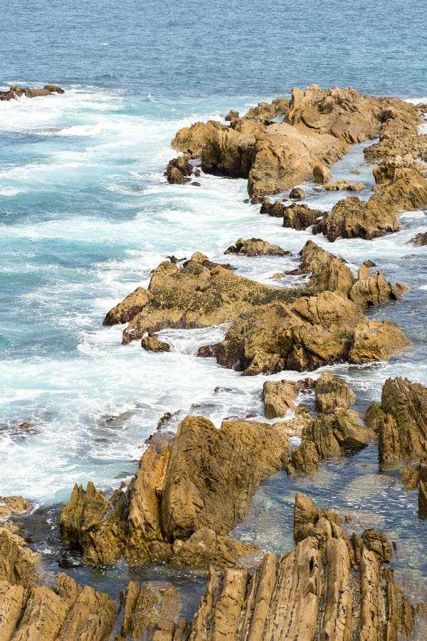 Sydney seascape royalty free stock photos Sydney seascape royalty free stock photos