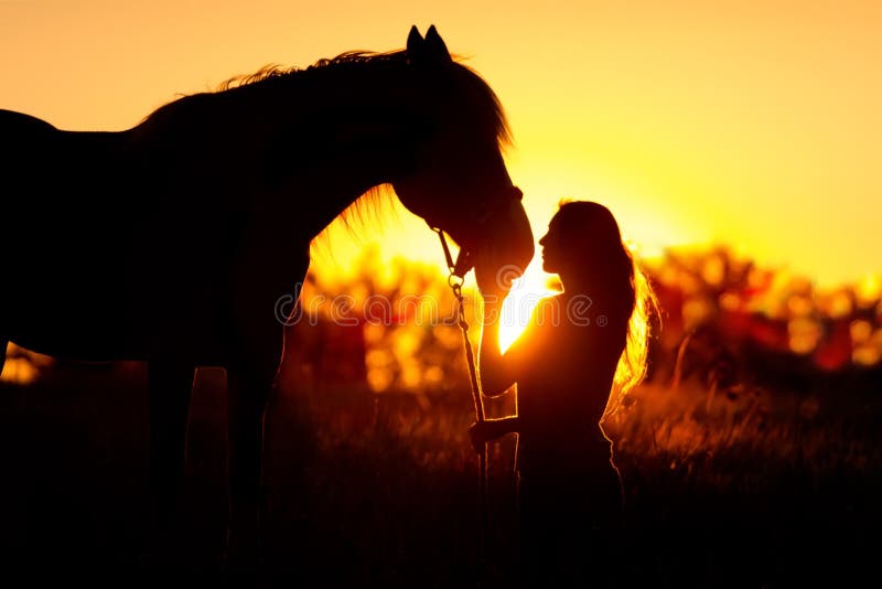 Sylwetka dziewczyna i koń