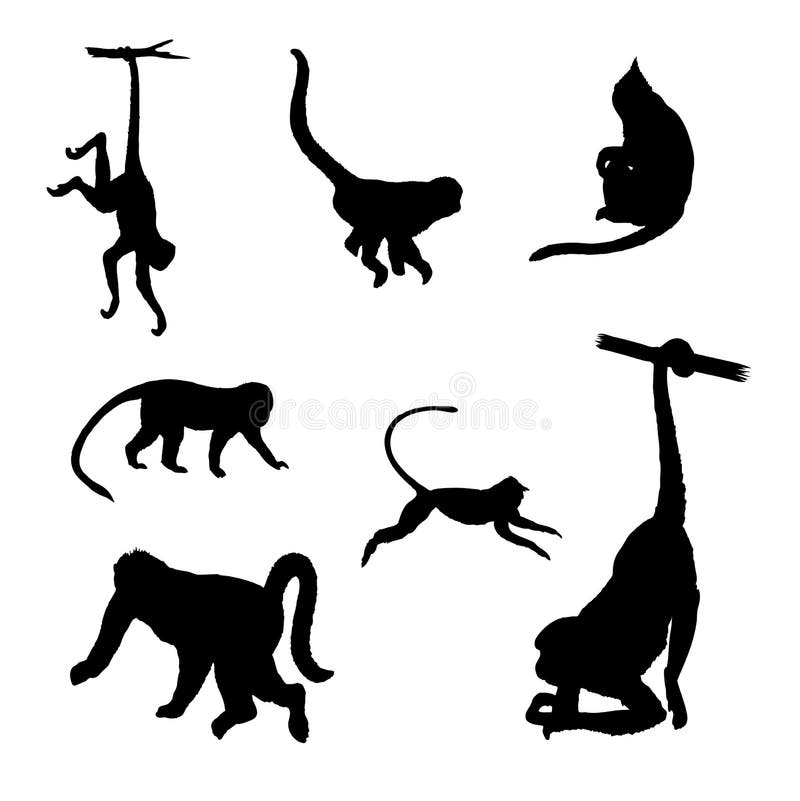 Sylwetka odosobniony małpi wektor ilustracji