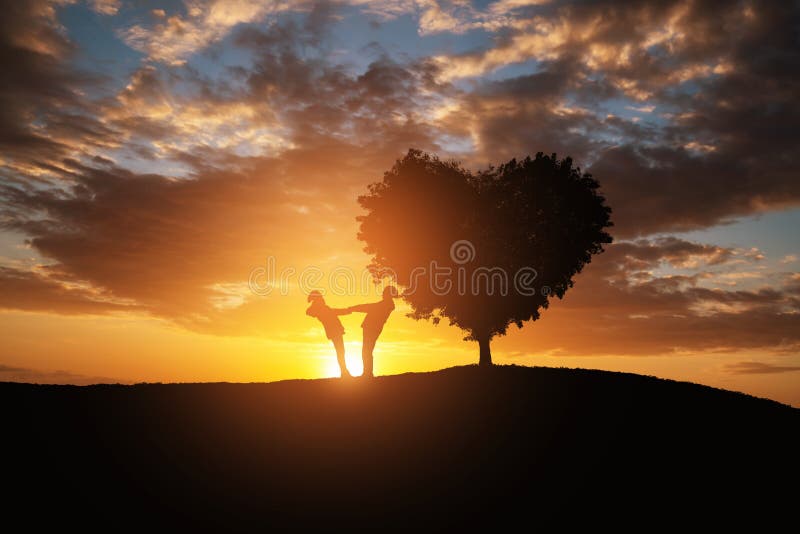 Sylwetka paru w abstrakcyjnym polu z drzewem o kształcie serca z zachodem słońca Koncepcja romantyczna