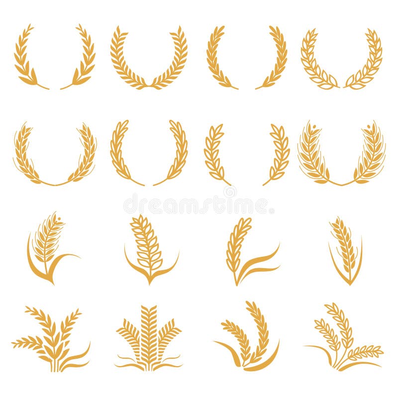 Silhouette of wheat. Corn vector symbols isolated on white. Wreath curve foem wheat, organic farming grain illustration. Silhouette of wheat. Corn vector symbols isolated on white. Wreath curve foem wheat, organic farming grain illustration