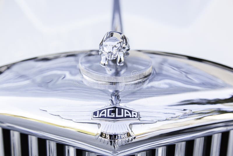 Jaguar Auto Bonnetornament Stockfoto und mehr Bilder von Jaguar