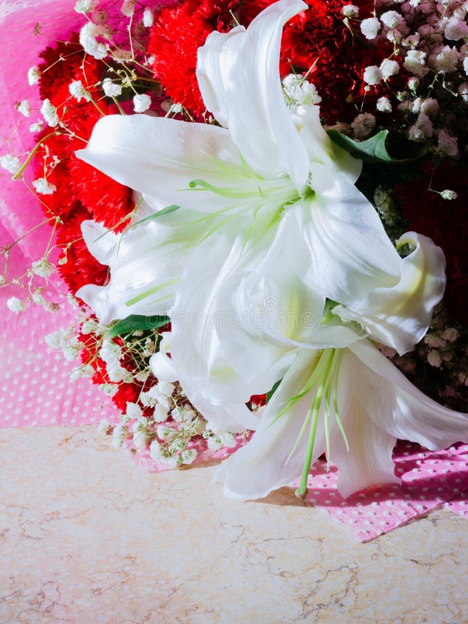 The symbol of elegance, purity, smoothness and Centenary stock image
