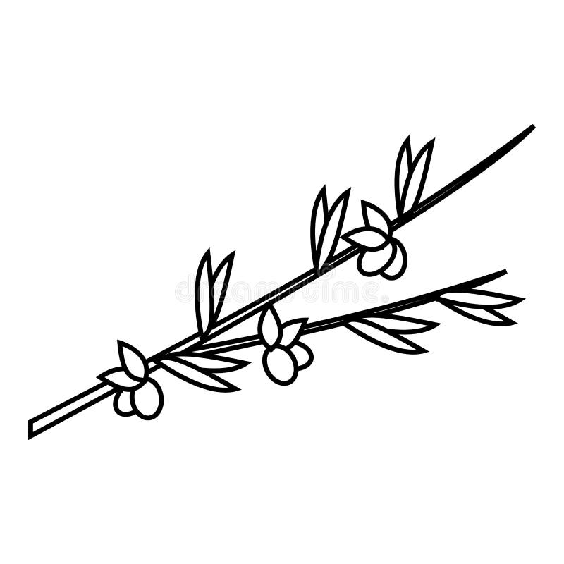 Symbol för olivgrön filial, översiktsstil vektor illustrationer Symbol för olivgrön filial, översiktsstil vektor illustrationer