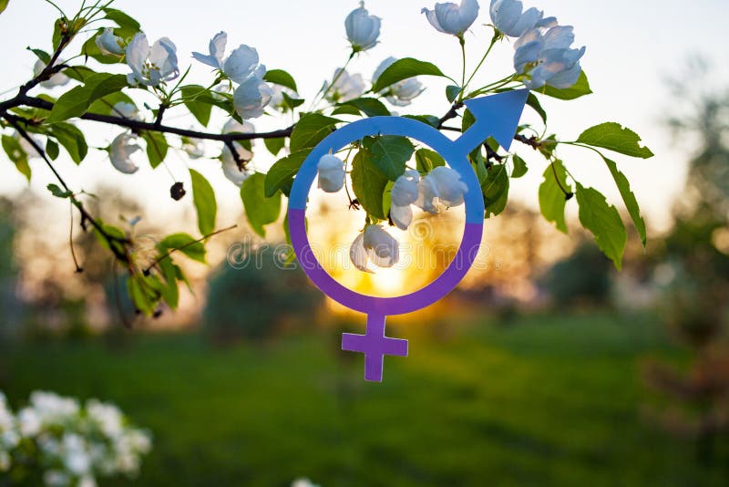 Symbol Of Gender Equality. Man And Woman. Beautiful Sunset, Blooming Apple Trees