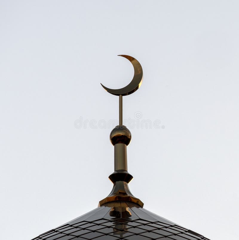My Image 8