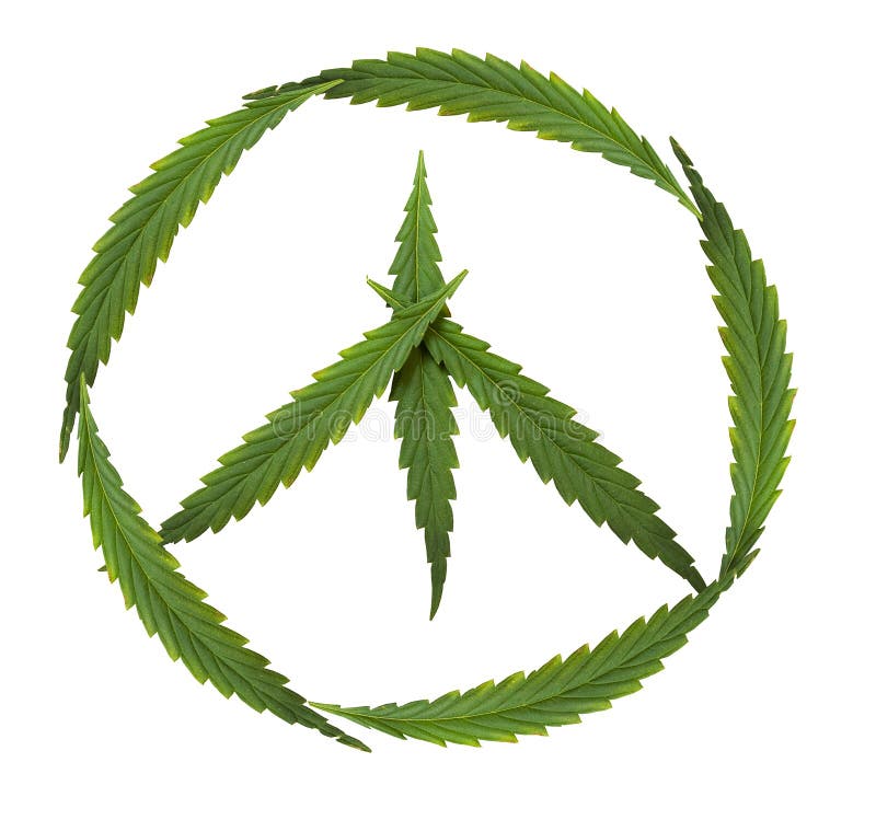 Symbol of peace, marijuana, symbol of the hippie. 