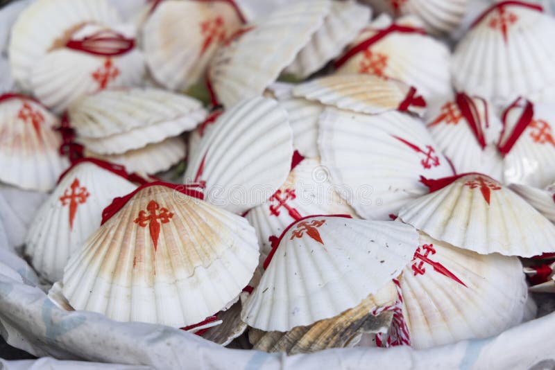 The symbol of the Way of St. James, the shell of St. Jacob royalty free stock photography