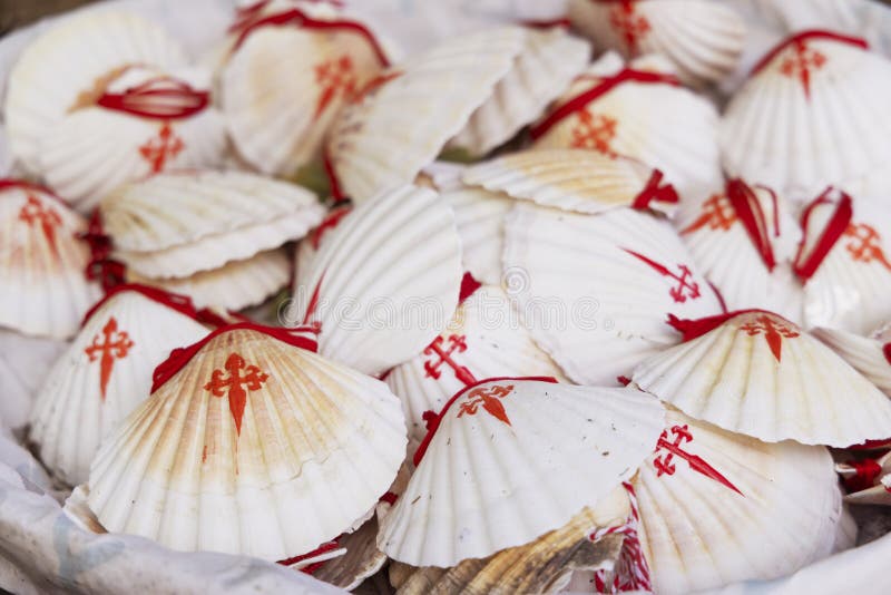 The symbol of the Way of St. James, the shell of St. Jacob stock photos