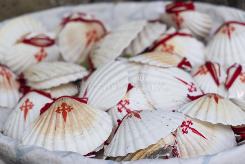 The symbol of the Way of St. James, the shell of St. Jacob stock photo