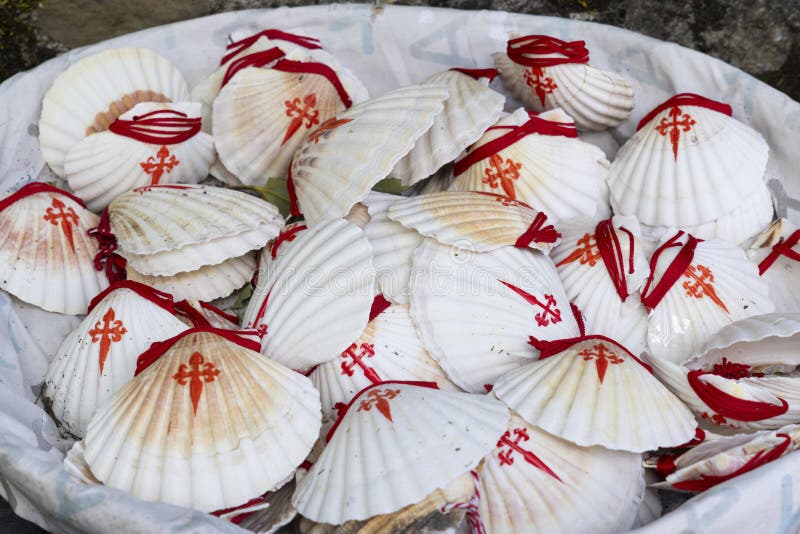 The symbol of the Way of St. James, the shell of St. Jacob royalty free stock photo
