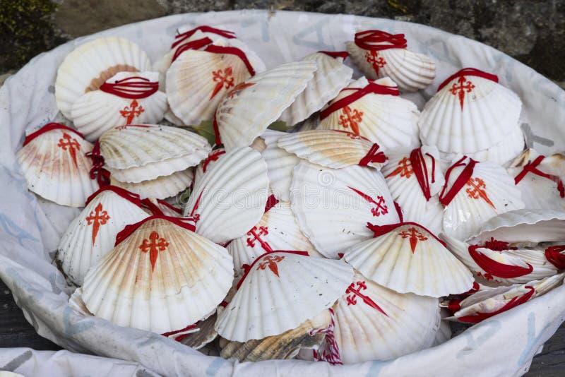 The symbol of the Way of St. James, the shell of St. Jacob stock images