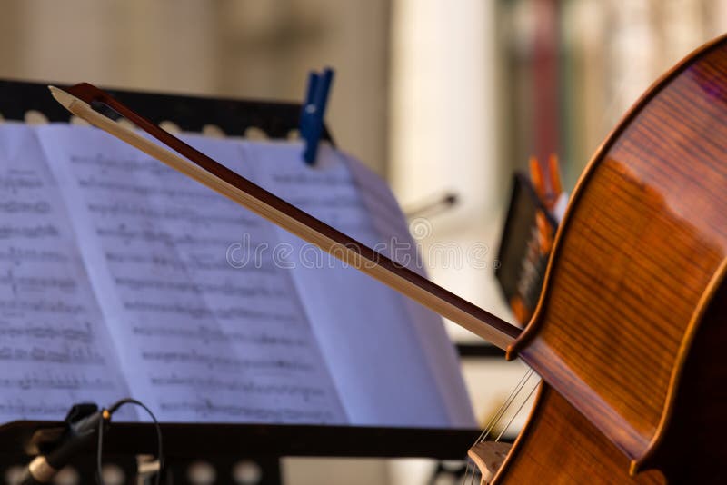 A Symphony Musical Instrument Called Harp Details Arkivfoto Bild av