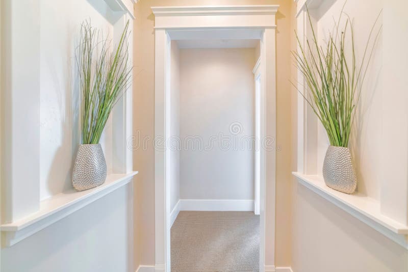 Symmetrical hallway with white cased opening and plants. Interior of a house with two potted plants facing each other with a passage in the middle with carpeted flooring. Symmetrical hallway with white cased opening and plants. Interior of a house with two potted plants facing each other with a passage in the middle with carpeted flooring.