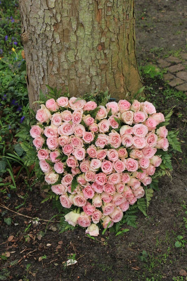 Sympathy Flowers Near a Tree Stock Photo Image of sympathy, tree