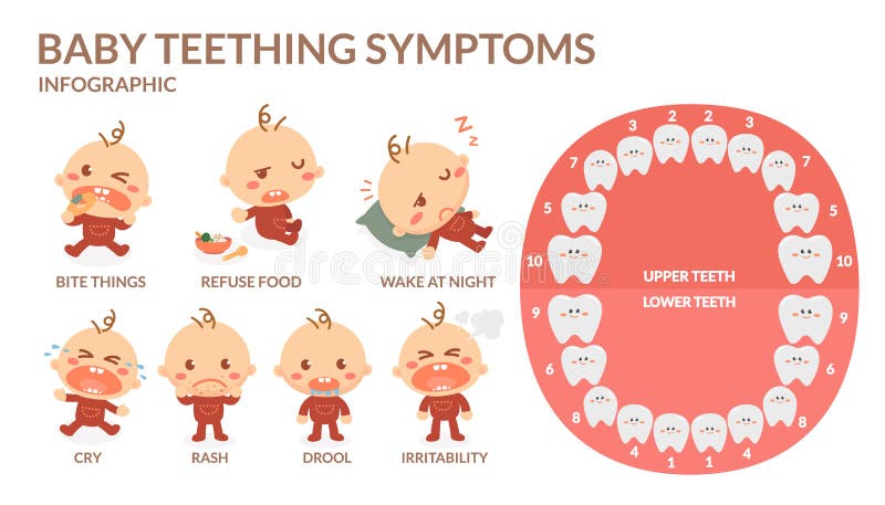Symptômes de dentition de bébé Éruption, bave, irritabilité, nourriture d'ordures, morsure, cri, sillage la nuit illustration libre de droits Symptômes de dentition de bébé Éruption, bave, irritabilité, nourriture d'ordures, morsure, cri, sillage la nuit illustration libre de droits