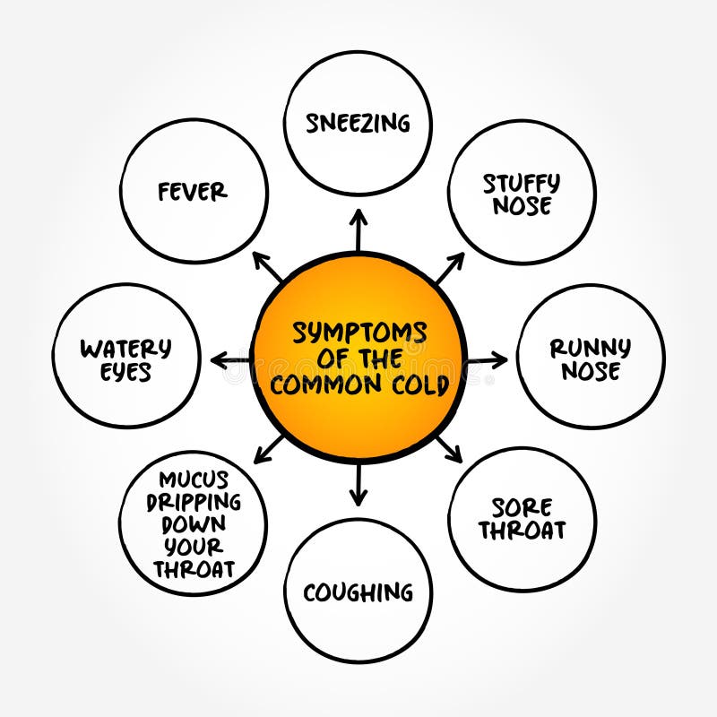 Symptoms of the common cold - viral infection of your nose and throat, upper respiratory tract vector illustration