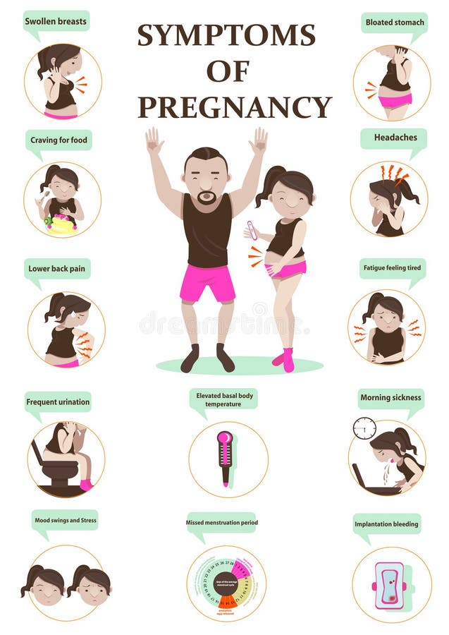 Symptoms Of Pregnancy Stock Vector Illustration Of Ache