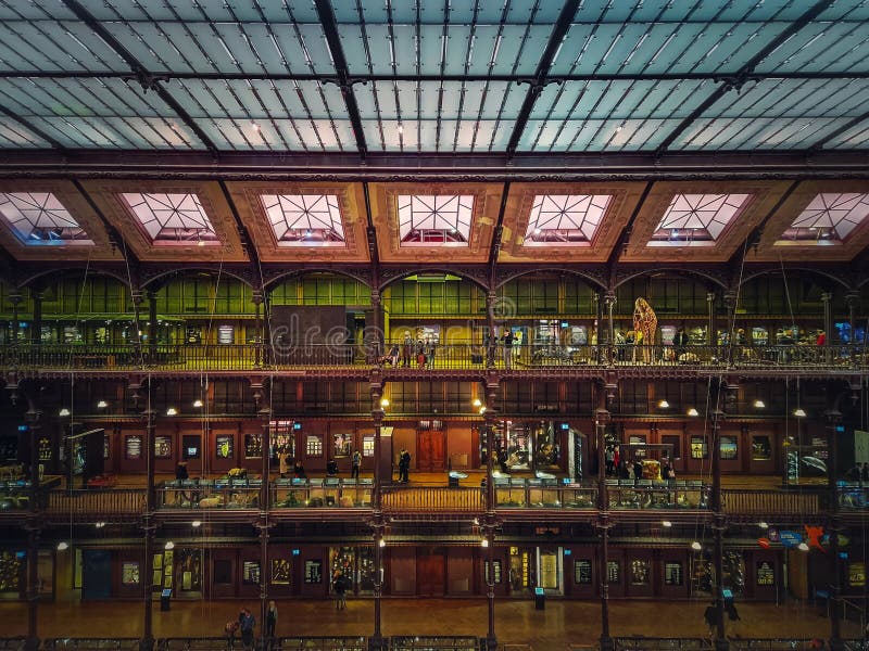 Syn i naturhistoriens paris france museum royaltyfri bild