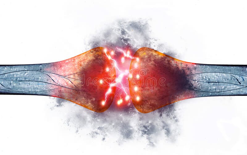 Synapse ist eine Struktur, die eine Neuron- oder Nervenzelle ermöglicht, ein elektrisches oder chemisches Signal zu einem anderen stock abbildung Synapse ist eine Struktur, die eine Neuron- oder Nervenzelle ermöglicht, ein elektrisches oder chemisches Signal zu einem anderen stock abbildung