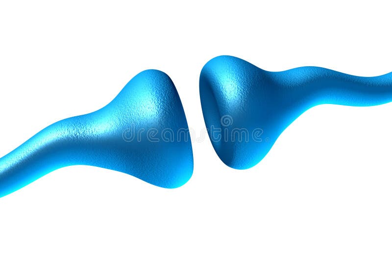 Synapse and Neuron Cells stock illustration