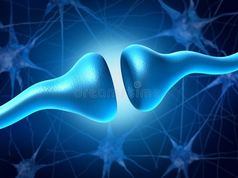 Synapse and Neurons stock illustration